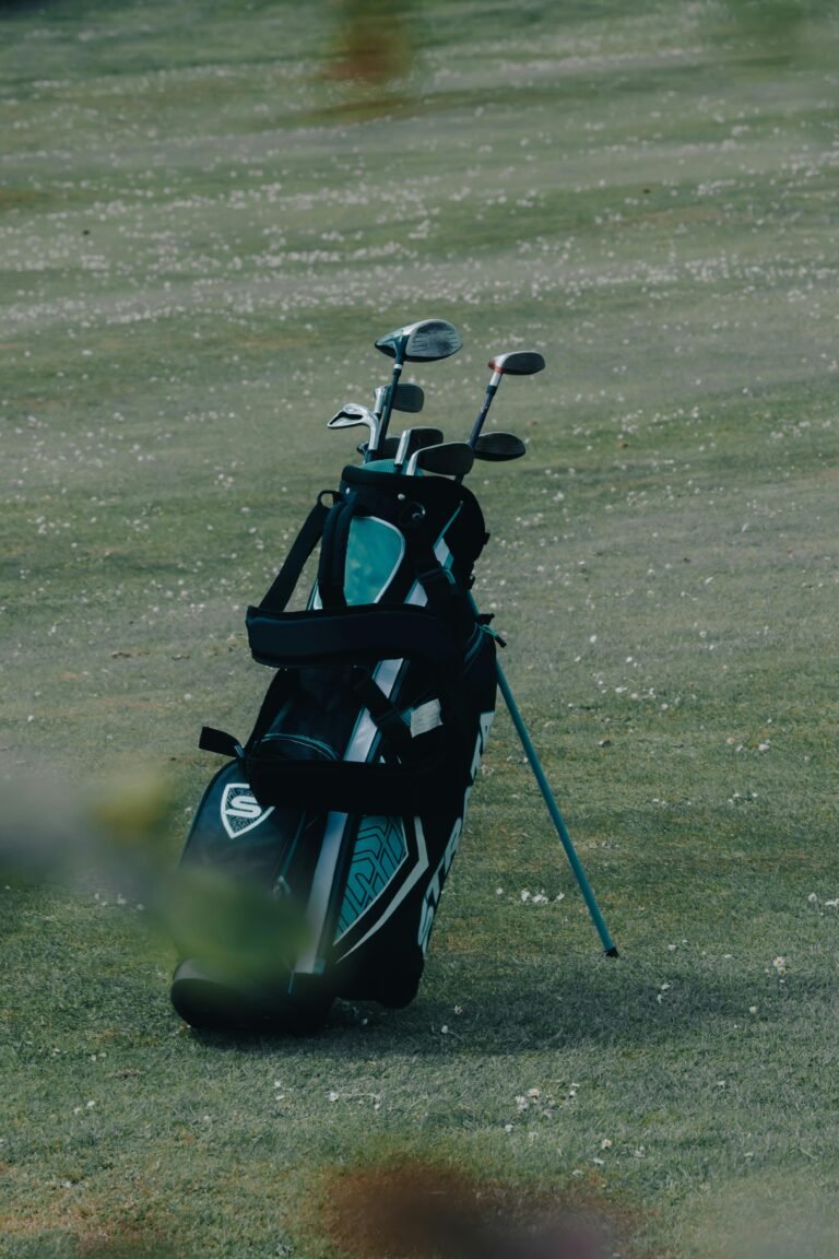 Cobra Golf Stand Bags: